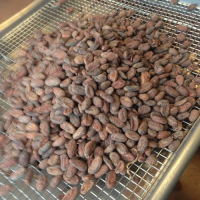 Coffee tray Wire Mesh