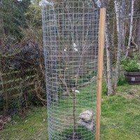 Coffee tray Wire Mesh